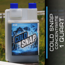 Load image into Gallery viewer, Cold Snap Concentrate - 1 Quart
