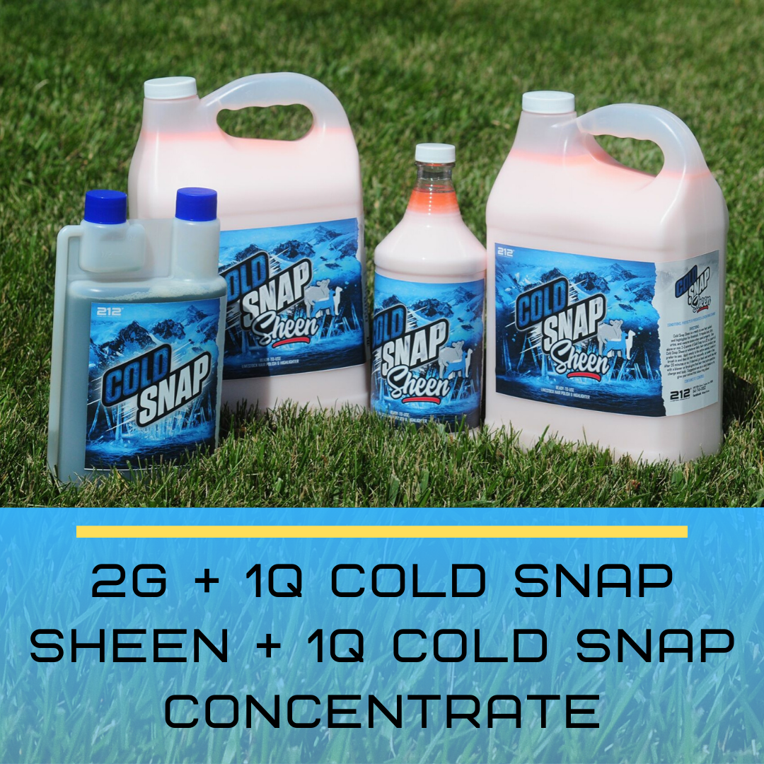 【NEW】【 BEE】【サイン入】クラブ・アメリカ(2017/18) Show Barn Bundle* 2 Gallons Cold Snap Sheen + 1 Quart of Cold Snap